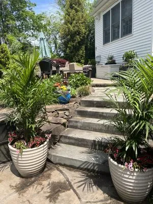 Americo Landscaping Logo