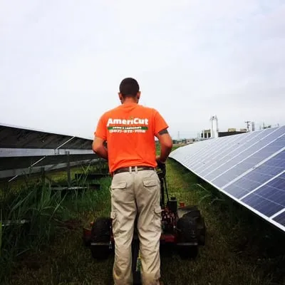 Americut Lawn and Landscape Logo