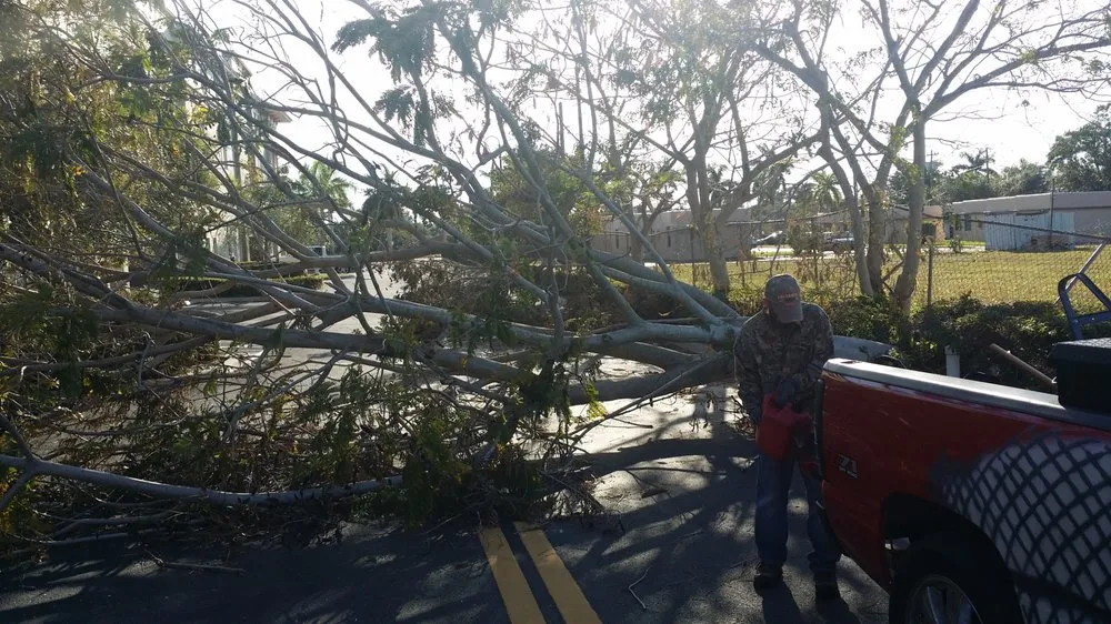 Reliable landscape installation for outdoor upgrades in Boca Raton, FL by Americuts Property Services
