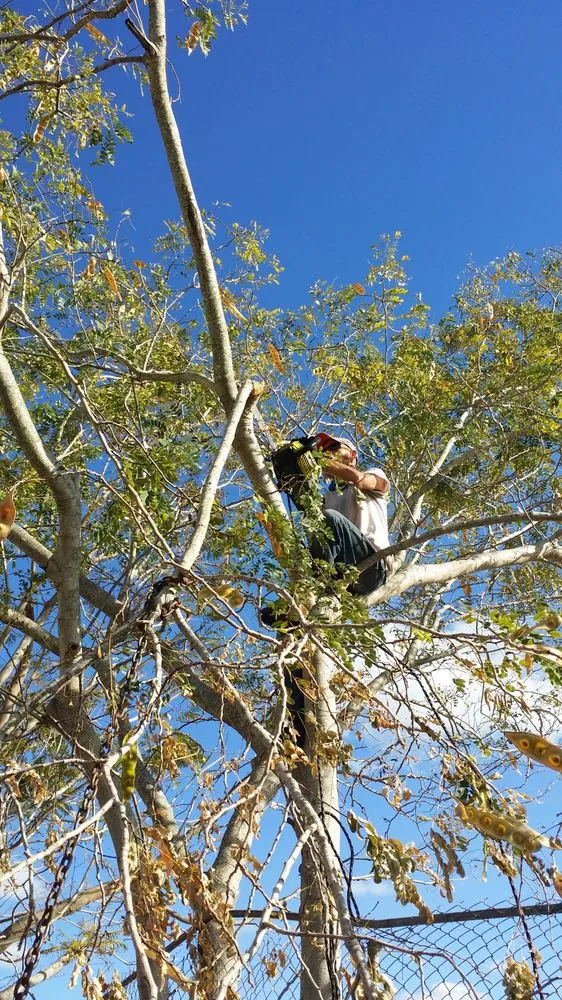 Top-rated yard cleanup service with custom design across Boca Raton, FL - Americuts Property Services