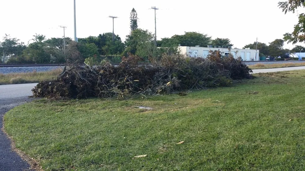 Top-rated lawn mowing service in Boca Raton, FL by Americuts Property Services