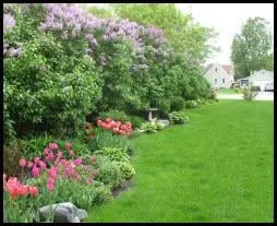 Trusted landscape design for year-round maintenance across Sauk Rapids, MN - Amerigreen