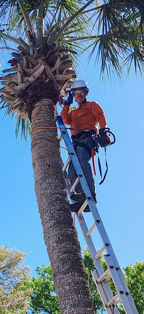 Top-rated landscape design with custom design across Apopka, FL - Amerigrown Tree and Lawn