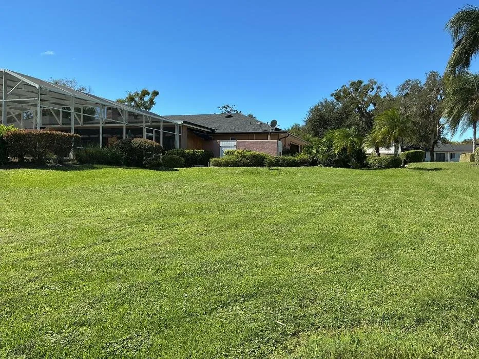 Top-rated yard cleanup service with custom design in Apopka, FL by Amerigrown Tree and Lawn