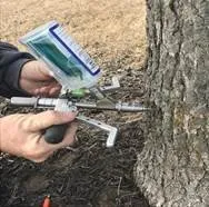 Affordable outdoor landscaping for year-round maintenance across Omaha, NE - Amerilawn of Nebraska