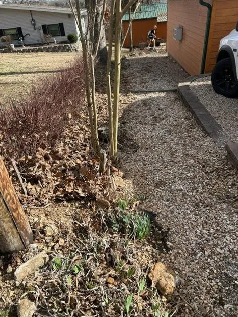 Professional residential landscaping for homes across Springfield, MO - AmeriLawn