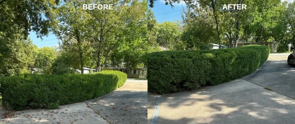 Affordable lawn mowing service for residential properties across Springfield, MO - AmeriLawn