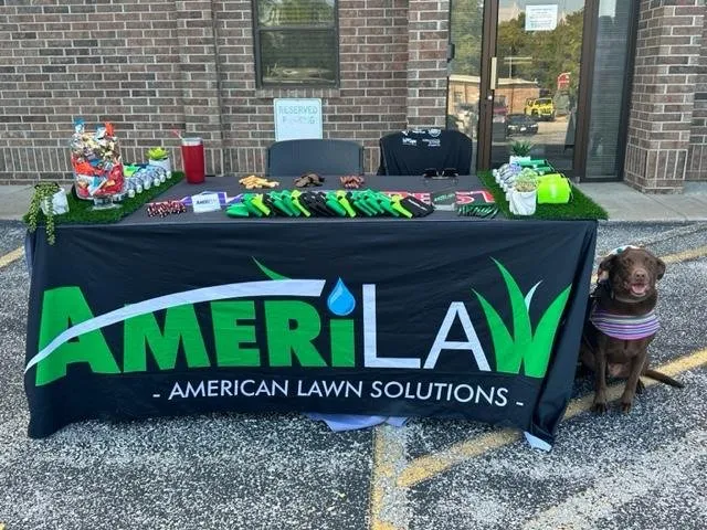 Professional garden landscaping for outdoor upgrades in Springfield, MO by AmeriLawn