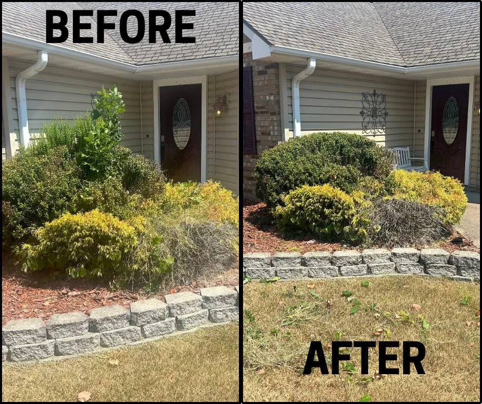 Top-rated lawn care service in Springfield, MO - AmeriLawn