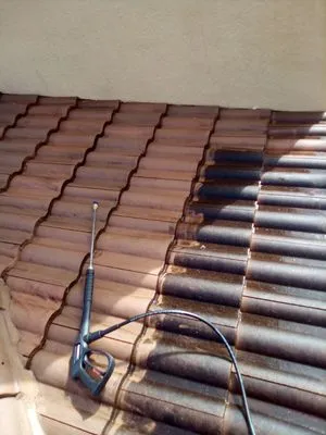 Amerimex Landscaping Logo