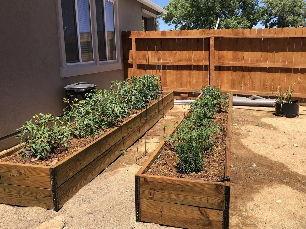 Trusted landscaping services experts serving Carson City, NV - Ameriscape