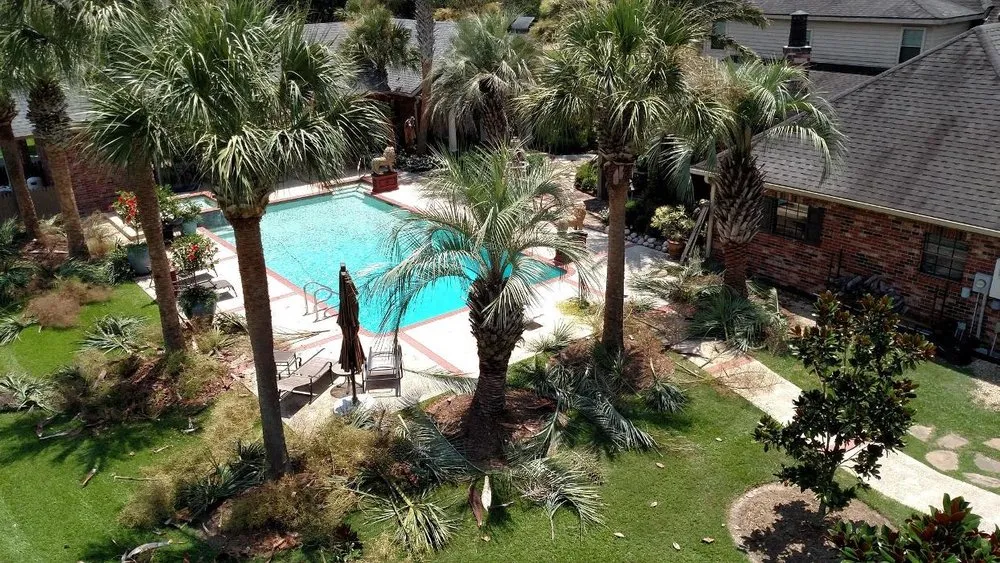 Professional yard cleanup service in Lafayette, LA - Ameriscape Lawn & Landscape