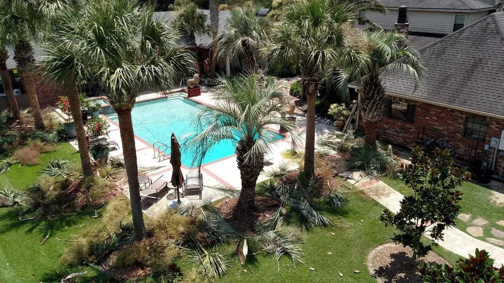 Local yard maintenance near you in Lafayette, LA by Ameriscape Lawn & Landscape