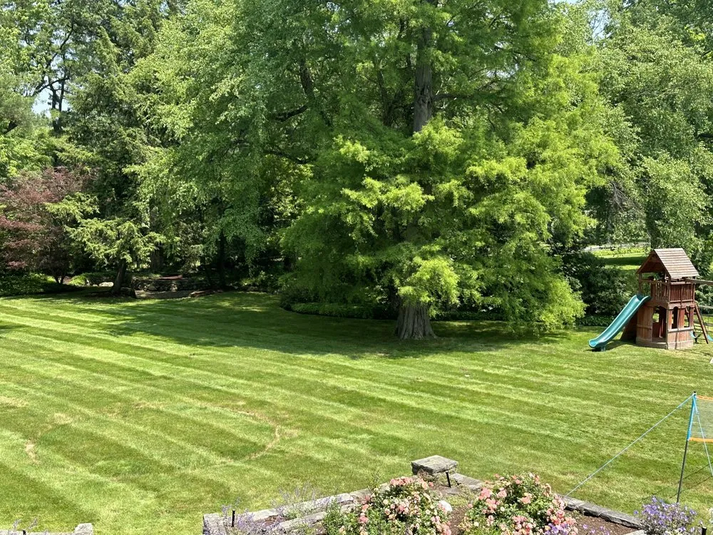 Top-rated landscaping services in Willoughby, OH - Ameriscape