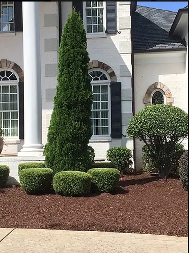 Local residential landscaping in Wake Forest, NC by Ameriscapes