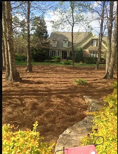Affordable residential landscaping in Wake Forest, NC by Ameriscapes