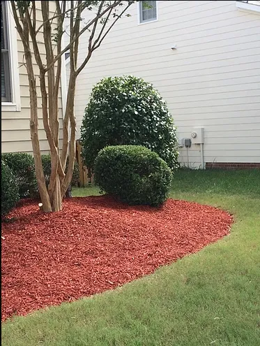 Trusted landscaping services in Wake Forest, NC by Ameriscapes