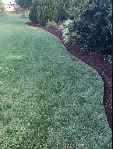 Local lawn mowing service in Wake Forest, NC - Ameriscapes