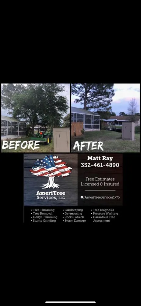 Trusted yard maintenance in Ocklawaha, FL by AmeriTree Services