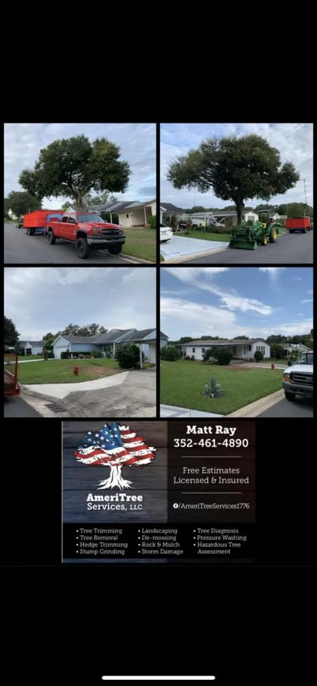 Top-rated yard maintenance experts serving Ocklawaha, FL - AmeriTree Services