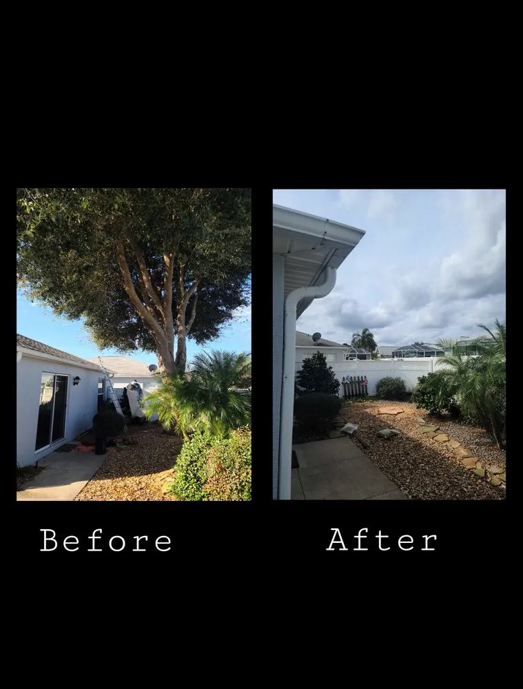 Custom yard maintenance in Ocklawaha, FL - AmeriTree Services