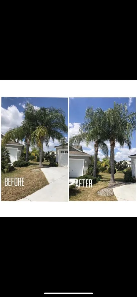 Trusted landscape design with custom design across Ocklawaha, FL - AmeriTree Services