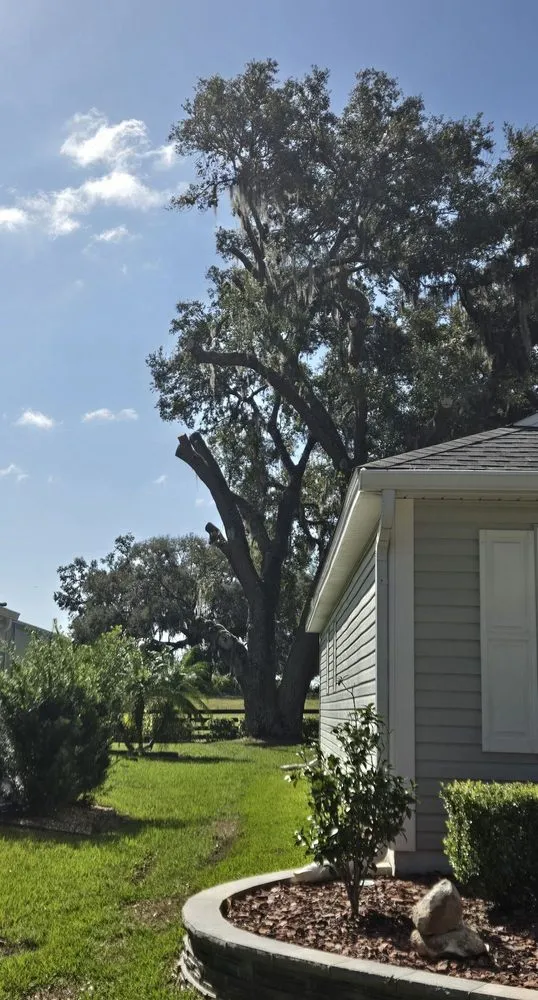 Professional landscape installation for beautiful yards across Ocklawaha, FL - AmeriTree Services