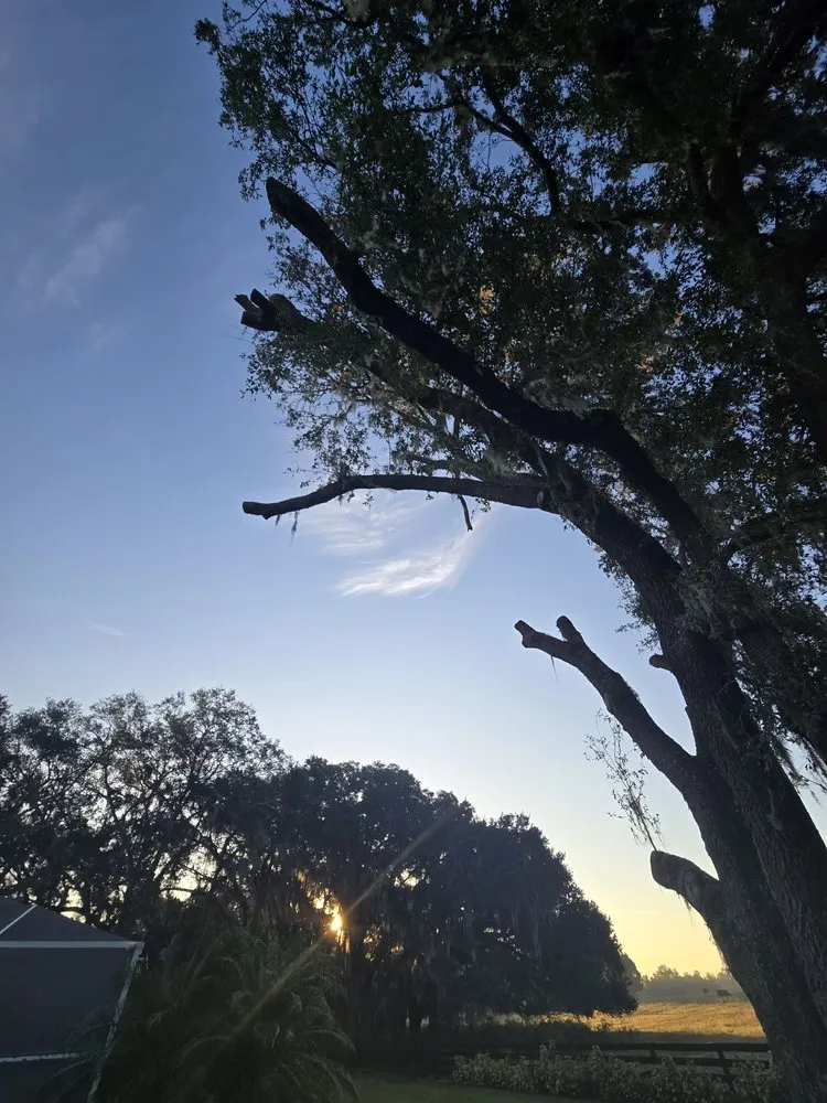 Top-rated landscaping services with custom design across Ocklawaha, FL - AmeriTree Services