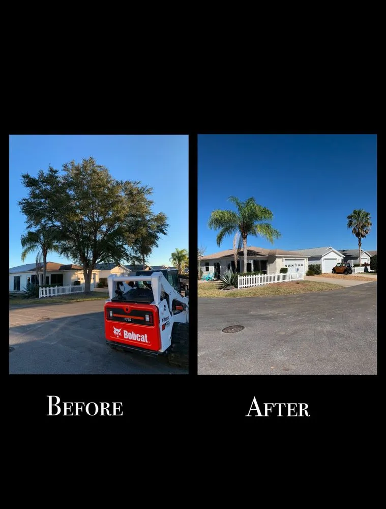 Affordable landscape installation experts serving Ocklawaha, FL - AmeriTree Services