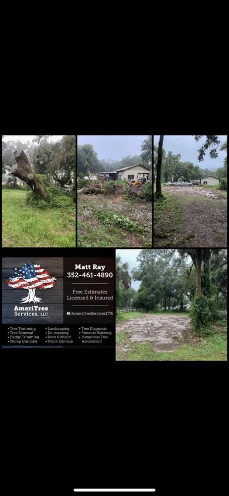 Local garden landscaping in Ocklawaha, FL by AmeriTree Services
