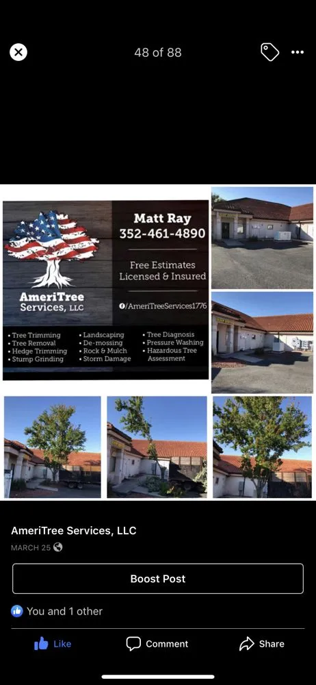 Top-rated outdoor landscaping experts serving Ocklawaha, FL - AmeriTree Services