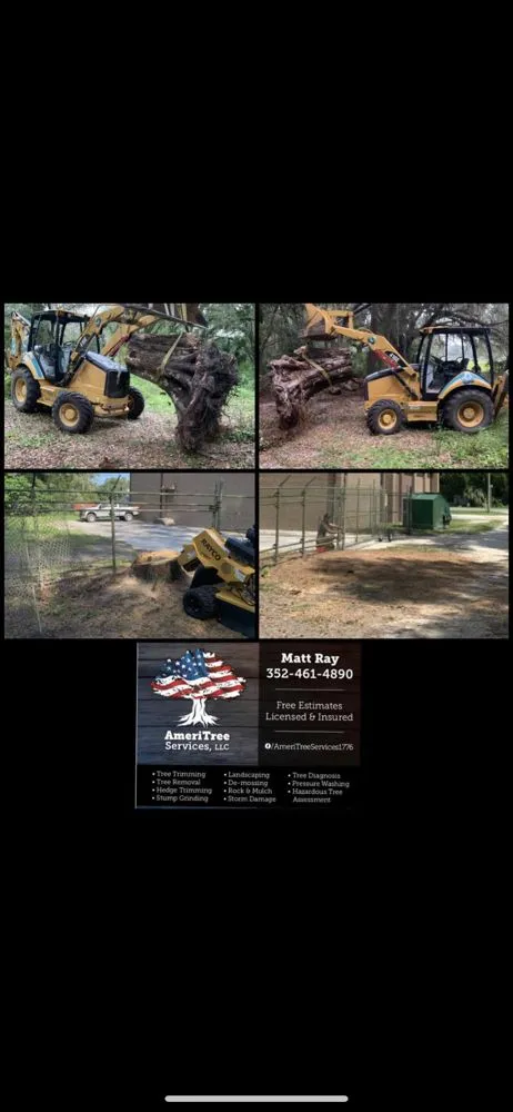 Affordable lawn care service for beautiful yards across Ocklawaha, FL - AmeriTree Services