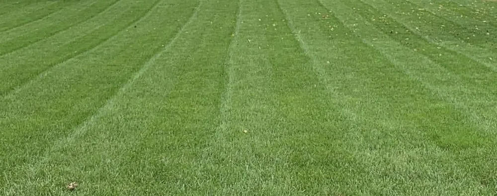 Expert yard cleanup service for residential properties in Marietta, OH by Ameriturf