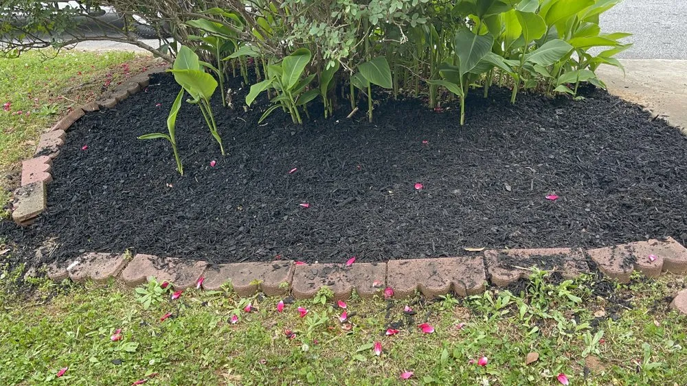 Reliable landscaping services in Rex, GA - Amerson & Son Lawn Home Improvement