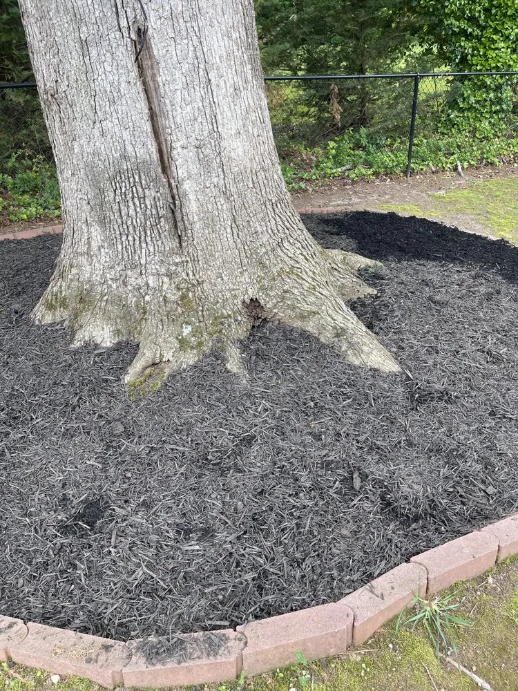 Expert yard cleanup service in Rex, GA - Amerson & Son Lawn Home Improvement