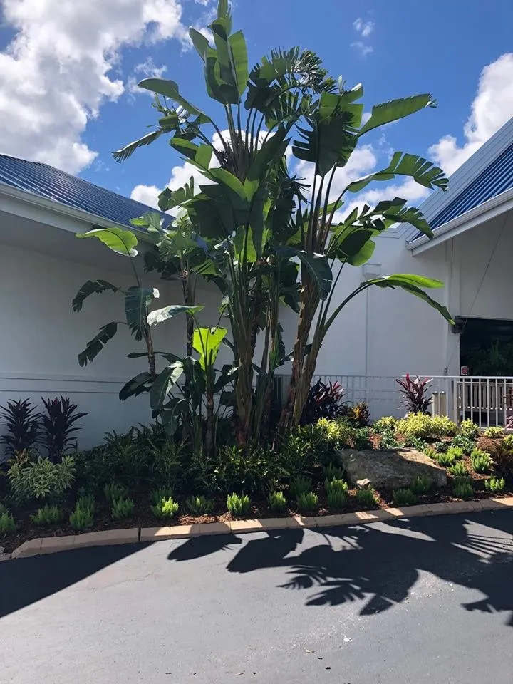 Custom yard cleanup service for year-round maintenance in Terra Ceia, FL by Amerson Landscape