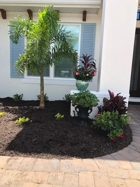 Expert yard cleanup service in Terra Ceia, FL by Amerson Landscape