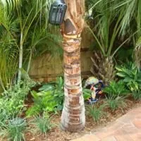 Reliable landscape installation experts serving Terra Ceia, FL - Amerson Landscape