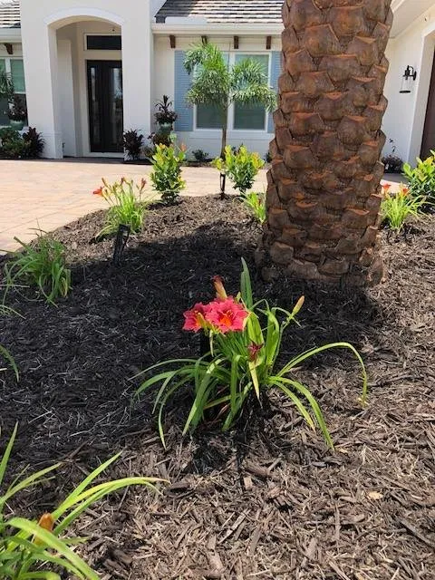 Local yard cleanup service in Terra Ceia, FL by Amerson Landscape