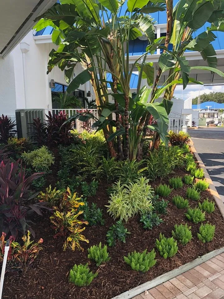 Local outdoor landscaping experts serving Terra Ceia, FL - Amerson Landscape