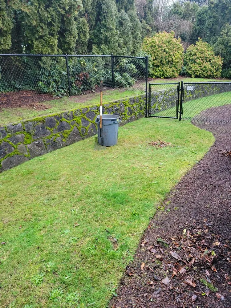Trusted yard cleanup service in Vancouver, WA - Amery Lawn Care