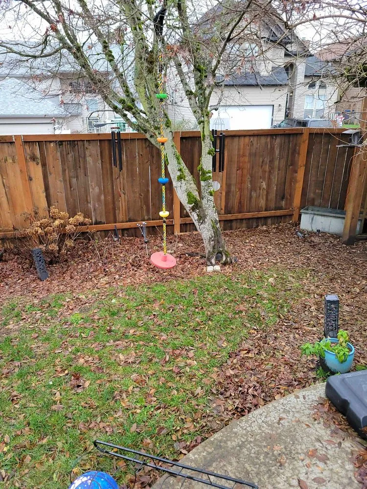 Professional landscaping services in Vancouver, WA by Amery Lawn Care