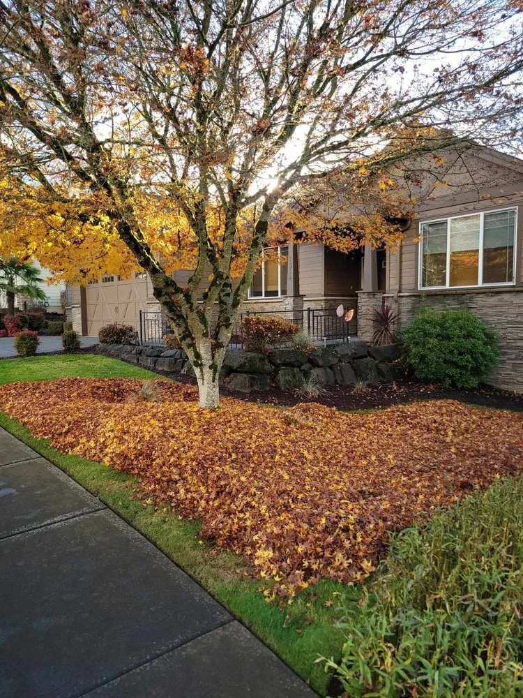 Top-rated landscape design in Vancouver, WA - Amery Lawn Care
