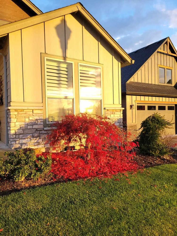 Local lawn care service in Vancouver, WA - Amery Lawn Care