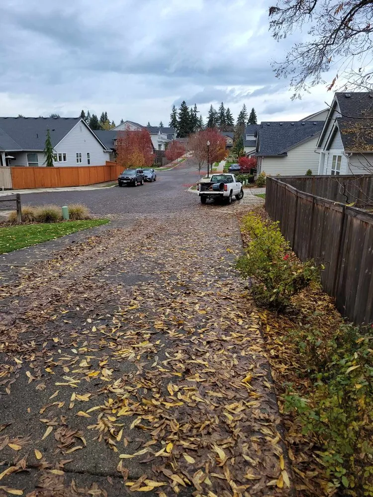 Professional garden landscaping in Vancouver, WA - Amery Lawn Care