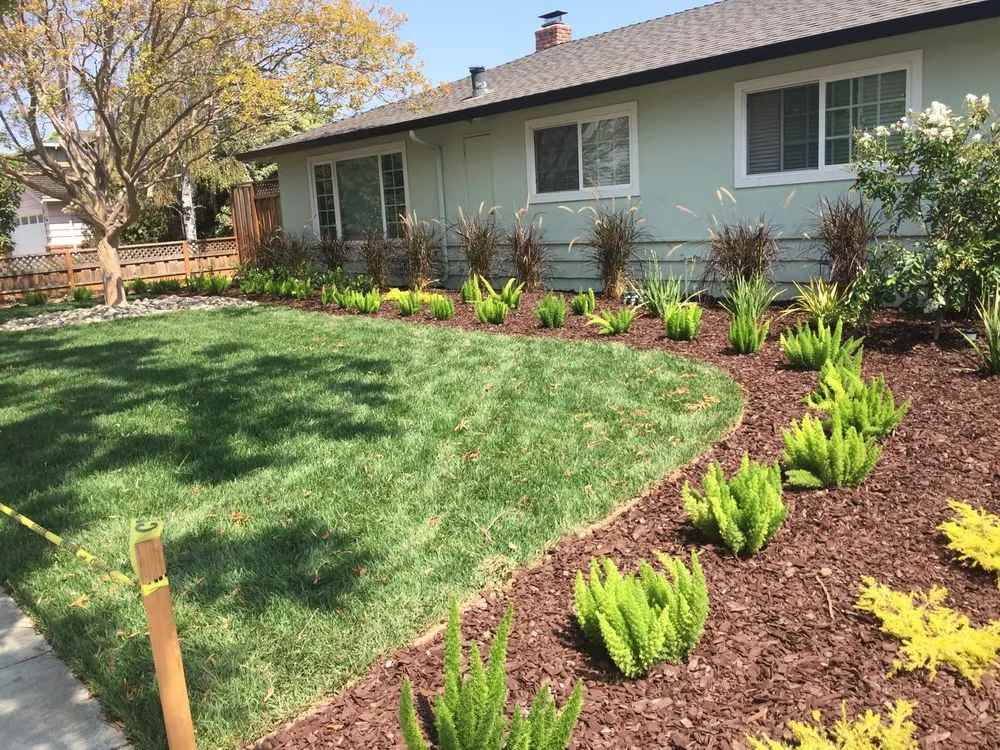 Professional yard maintenance for homes in Morgan Hill, CA by Ames 2 Please Landscaping