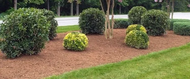 Reliable garden landscaping for beautiful yards in Morgan Hill, CA by Ames 2 Please Landscaping