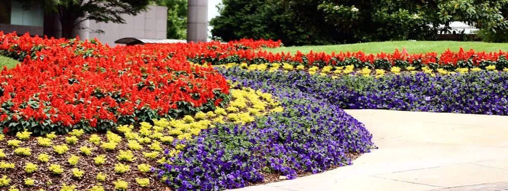 Top-rated outdoor landscaping for homes across Morgan Hill, CA - Ames 2 Please Landscaping