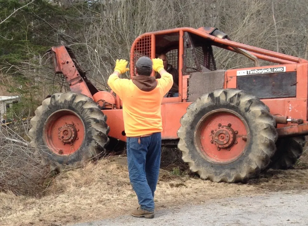 Expert yard cleanup service experts serving Vinalhaven, ME - Ames Brothers Forest Service