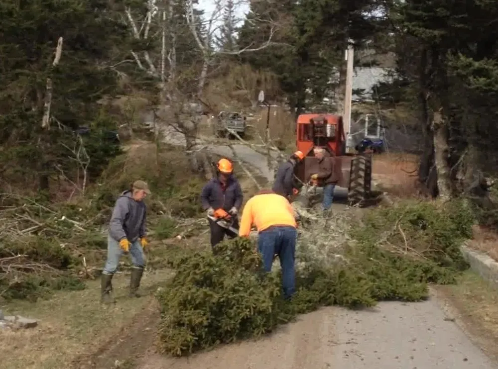 Professional landscaping services for beautiful yards across Vinalhaven, ME - Ames Brothers Forest Service